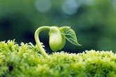 Có số phận hay không? Có số phận hay không?