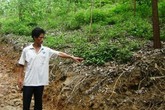Bạn trai làm ngơ để nữ sinh bị hãm hiếp Bạn trai làm ngơ để nữ sinh bị hãm hiếp