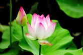 Đừng bao giờ đổ lỗi cho hoàn cảnh! Đừng bao giờ đổ lỗi cho hoàn cảnh!