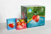 Tiếp thị xã hội các phương tiện tránh thai tại Lai Châu: Chủ động tiếp cận người dân Tiếp thị xã hội các phương tiện tránh thai tại Lai Châu: Chủ động tiếp cận người dân