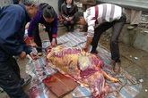 Mổ thịt cá mập, trăn khủng ngay trên vỉa hè Mổ thịt cá mập, trăn khủng ngay trên vỉa hè