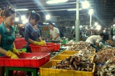 Sài Gòn: Quán ốc vỉa hè hốt bạc thời khủng hoảng Sài Gòn: Quán ốc vỉa hè hốt bạc thời khủng hoảng