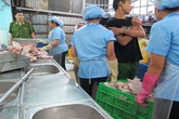 Lòng, tai heo: Nhìn là khiếp! Lòng, tai heo: Nhìn là khiếp!