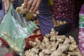 Hoang mang vì gừng Trung Quốc 'ngập' chợ Việt Nam Hoang mang vì gừng Trung Quốc 'ngập' chợ Việt Nam