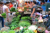Rau đắt gấp đôi do mưa lớn kéo dài Rau đắt gấp đôi do mưa lớn kéo dài