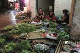 Mưa bão kéo dài, giá rau xanh tăng phi mã Mưa bão kéo dài, giá rau xanh tăng phi mã