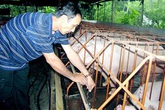 Nông dân nuôi lợn không dám ăn sản phẩm mình làm ra Nông dân nuôi lợn không dám ăn sản phẩm mình làm ra
