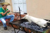 Những dịch vụ độc 'hái ra tiền' ở Sài Gòn Những dịch vụ độc 'hái ra tiền' ở Sài Gòn