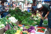 Rau đắt đỏ, người dân 'nhắm mắt' ăn hàng Trung Quốc Rau đắt đỏ, người dân 'nhắm mắt' ăn hàng Trung Quốc