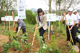 Hưởng ứng chiến dịch “làm cho thế giới sạch hơn 2013" tại Lâm Đồng Hưởng ứng chiến dịch “làm cho thế giới sạch hơn 2013" tại Lâm Đồng