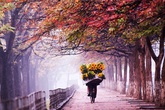 Những mùa thu đẹp nhất trên thế giới Những mùa thu đẹp nhất trên thế giới
