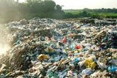 Dân khốn khổ với ruồi, muỗi và rác thải Dân khốn khổ với ruồi, muỗi và rác thải