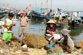 Khi ngư dân biết sinh đẻ an toàn Khi ngư dân biết sinh đẻ an toàn