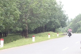 Thâm nhập “vùng đất tử thần” (cuối): Những người "qua mặt thần chết" Thâm nhập “vùng đất tử thần” (cuối): Những người "qua mặt thần chết"