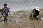 Săn cua cạnh phố nhà giàu Săn cua cạnh phố nhà giàu