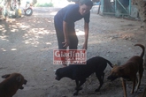 Người đàn bà nghèo 15 năm kiếm tiền nuôi hàng trăm chú khuyển mồ côi Người đàn bà nghèo 15 năm kiếm tiền nuôi hàng trăm chú khuyển mồ côi