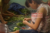 Đau lòng nữ sinh suýt bị ba tên "yêu râu xanh" hại đời Đau lòng nữ sinh suýt bị ba tên "yêu râu xanh" hại đời