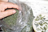 Nhận diện “chè ướp xác” Nhận diện “chè ướp xác”