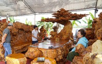Từ gốc cây mục ở đáy sông hóa bộ bàn ghế 3,8 tỷ đồng Từ gốc cây mục ở đáy sông hóa bộ bàn ghế 3,8 tỷ đồng