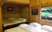 Khách Tây bùng tiền homestay: Thực hư chuyện chó sủa, muỗi đốt Khách Tây bùng tiền homestay: Thực hư chuyện chó sủa, muỗi đốt
