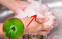 Tại sao không nên rửa thịt gà trước khi nấu? Tại sao không nên rửa thịt gà trước khi nấu?