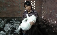 Người phụ nữ kiếm 200 triệu/năm nhờ liều lĩnh Người phụ nữ kiếm 200 triệu/năm nhờ liều lĩnh