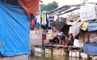 Cuộc đời cơ cực của người mẹ đơn thân nuôi 4 con thơ bên mé sông Hồng Cuộc đời cơ cực của người mẹ đơn thân nuôi 4 con thơ bên mé sông Hồng
