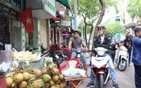 Kiếm vài triệu/ngày nhờ bán hàng trăm quả dừa ngày nóng Kiếm vài triệu/ngày nhờ bán hàng trăm quả dừa ngày nóng