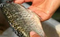 Đừng rửa những thực phẩm quen thuộc này chỉ bằng nước, nếu không càng rửa càng bẩn Đừng rửa những thực phẩm quen thuộc này chỉ bằng nước, nếu không càng rửa càng bẩn