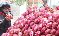Vì sao hàng trăm xe thanh long Việt Nam ùn ứ ở cửa khẩu? Vì sao hàng trăm xe thanh long Việt Nam ùn ứ ở cửa khẩu?