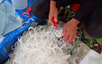 Dịch vụ nạo dừa bánh tẻ làm mứt hút khách dịp cận Tết Dịch vụ nạo dừa bánh tẻ làm mứt hút khách dịp cận Tết