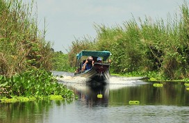 Khám phá vẻ đẹp hoang sơ của Vườn Quốc gia U Minh Thượng Khám phá vẻ đẹp hoang sơ của Vườn Quốc gia U Minh Thượng
