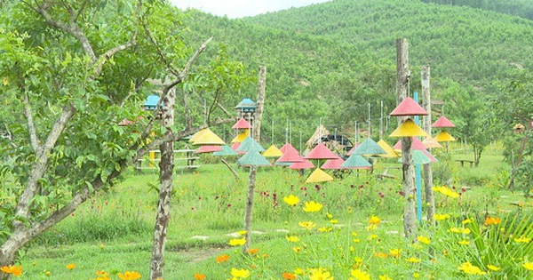 Thâm cung bí sử (219 - 6): Không phải là giấc mơ
