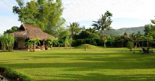 Thâm cung bí sử (219 - 9): Công ty của chúng mình