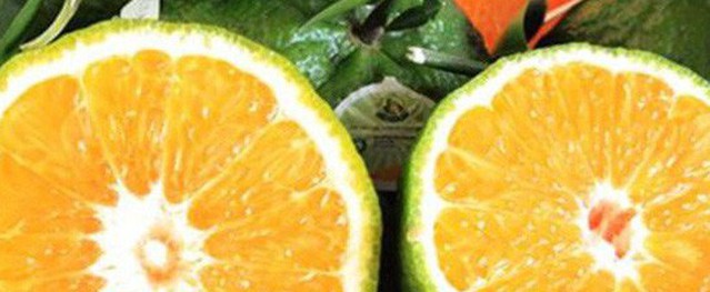 Điểm mặt những loại trái cây không hạt đang gây sốt trên thị trường Điểm mặt những loại trái cây không hạt đang gây sốt trên thị trường