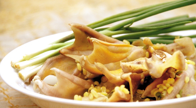 Kết quả hình ảnh cho Chân vá»t hầm Äáºu xanh
