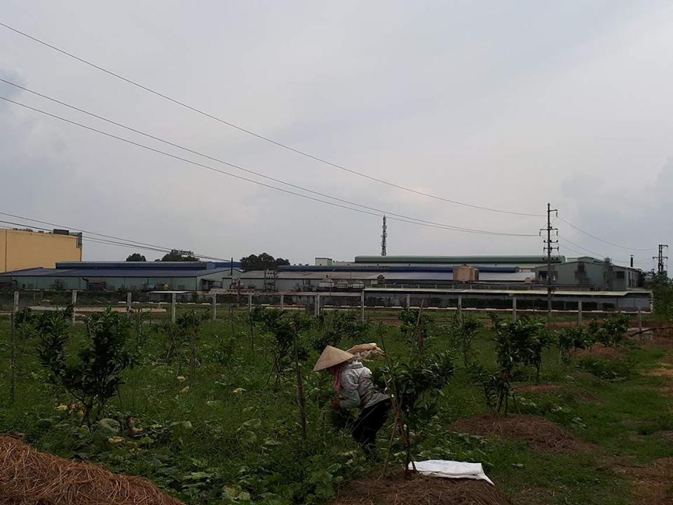 Tiếp vụ người d&acirc;n tố nh&agrave; m&aacute;y Sunhouse xả kh&oacute;i bụi: Cơ quan chức năng chỉ r&otilde; nhiều sai phạm