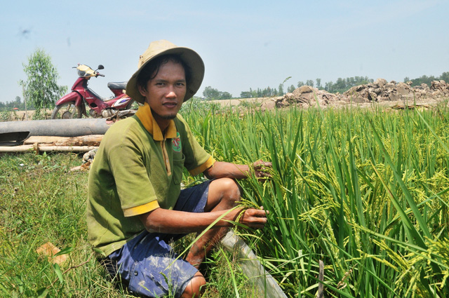Tự &yacute; lấy đất trồng l&uacute;a để x&acirc;y nh&agrave; mồ - Ảnh 2.