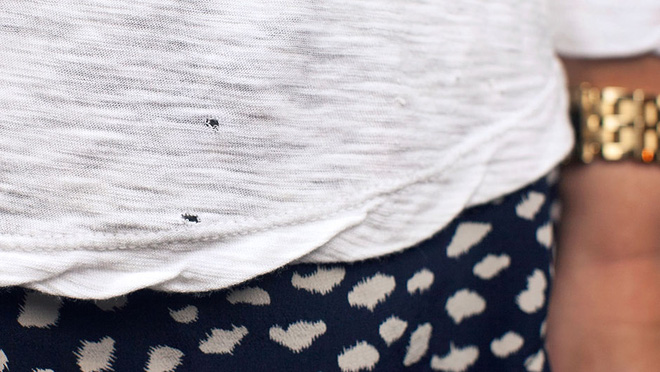 Dùng bàn ủi vá lỗ thủng áo thun do “gián gặm”, người vụng nhất cũng có thể  làm được