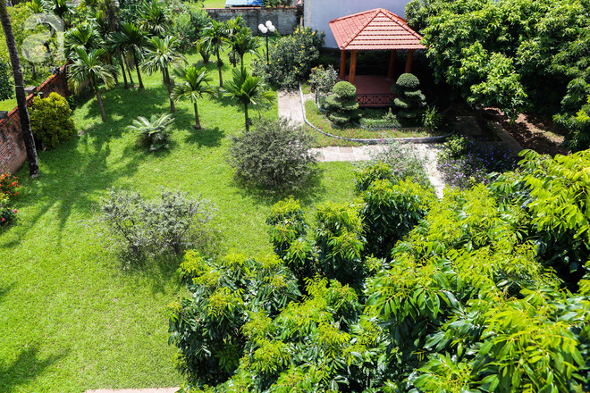 Ngôi nhà vườn rộng 1200m² đẹp ngất ngây, lúc lỉu trái cây ngay ở ngoại  thành Hà Nội