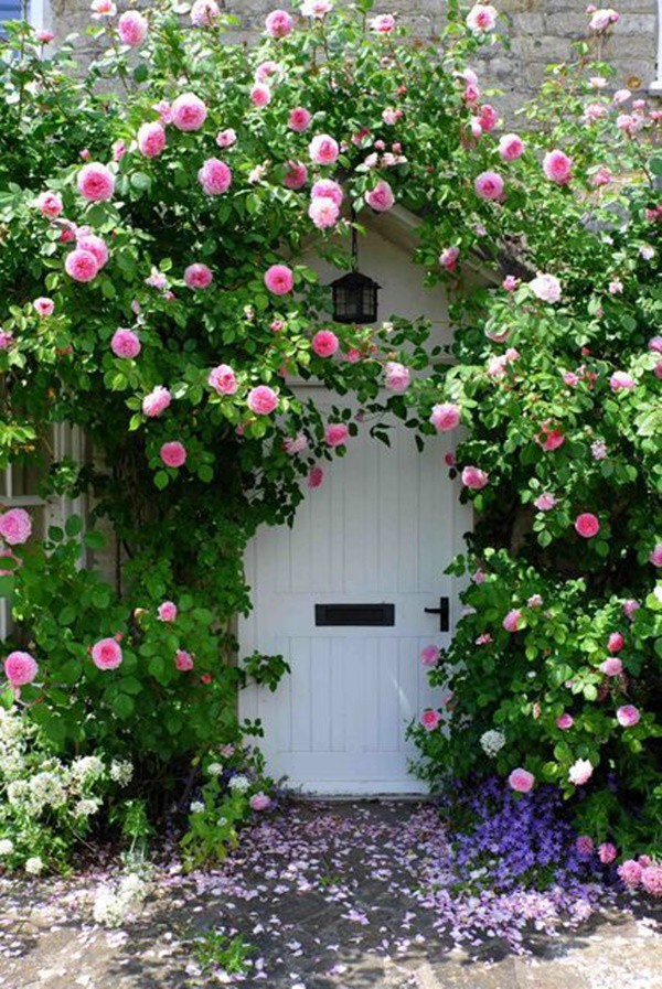 Ngất ngây vẻ đẹp của những cổng nhà tràn ngập hoa