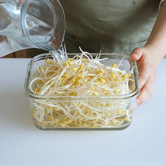 Mẹo hay bảo quản giá đỗ trong tủ lạnh tươi ngon cả tuần