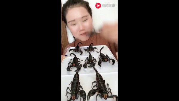 Cô gái xinh đẹp nhai bọ cạp, gián, sâu ngon lành đến kinh dị Cô Gái Xinh Đẹp Nhai Bọ Cạp, Gián, Sâu Ngon Lành Đến Kinh Dị