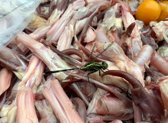 Si&ecirc;u thị MM Mega Market n&oacute;i g&igrave; về nghi vấn nhập lậu thịt đ&ocirc;ng lạnh để b&aacute;n cho kh&aacute;ch h&agrave;ng?