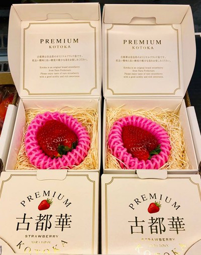 Nửa triệu đồng một quả dâu tây Nhật làm quà Valentine