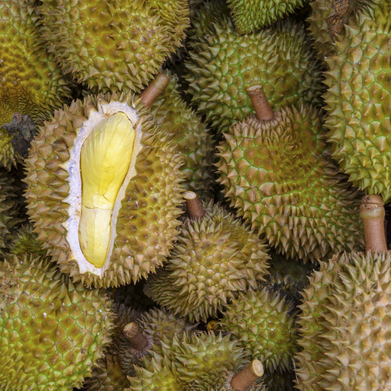 Sau Rae 7 sự thật