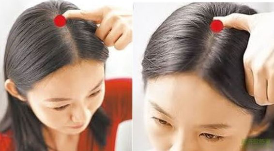 Cơ thể con người có 5 'công tắc' để mọc tóc, hãy bấm mỗi ngày để ngăn rụng tóc và tạm biệt hói đầu