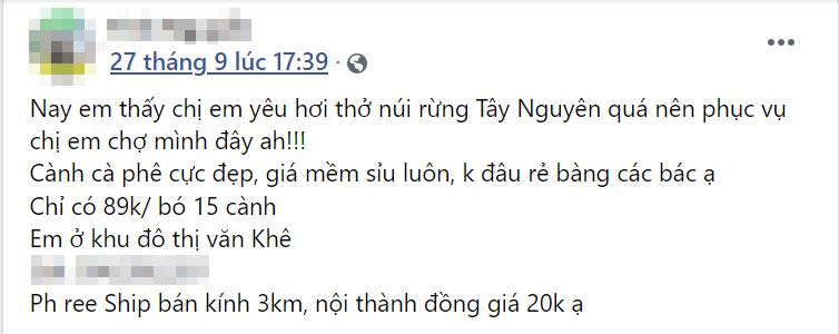 Chị em thích thú làm đẹp nhà bằng cách cắm cành quả &quot;lúc lỉu&quot; màu đỏ au, chi phí 100k thôi mà đặt góc nào cũng sang - Ảnh 6.