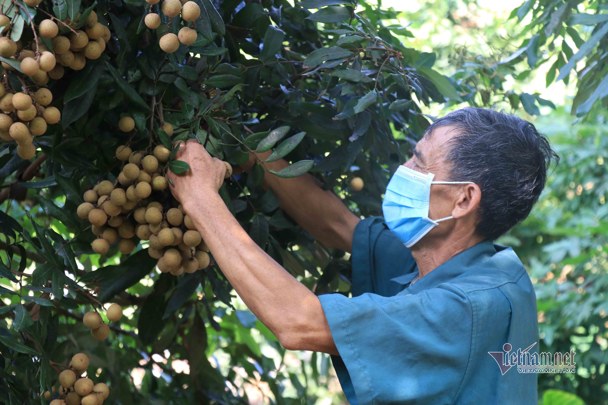 'Đặc sản tiến vua': Đi Tây không đủ chất, xuất Mỹ 1 lần rồi tạm dừng - Ảnh 3.