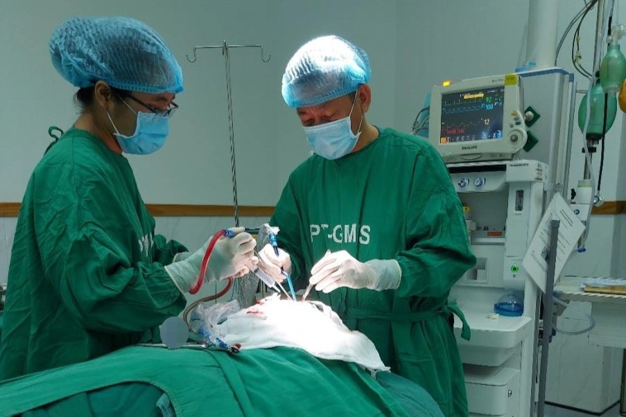 Cưa cây, nam thanh niên bị gỗ văng găm lún sọ vào não - Ảnh 2.